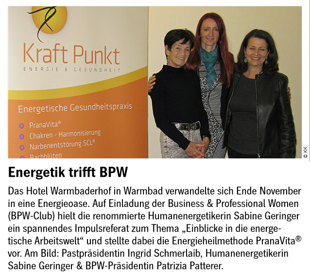 Mag. Sabine Geringer Presseberichte Kraft Punkt